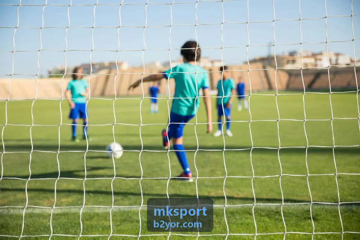 mksport 运动科技背景