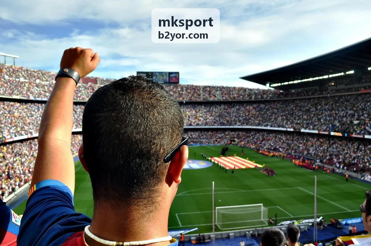 mksport 定制恢复计划